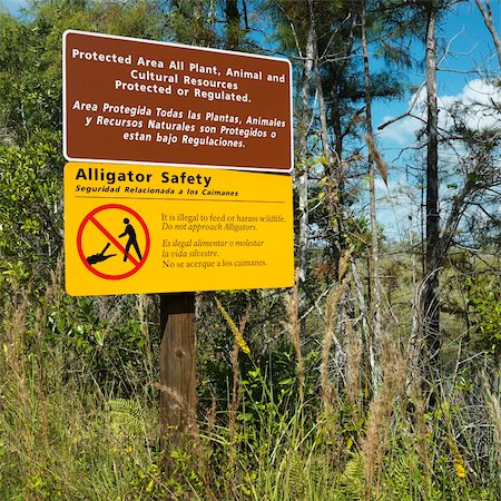 everglades national park - Alligator safety sign in Everglades National Park, Florida, USA. Stock Photo - Budget Royalty-Free & Subscription, Code: 400-04954468