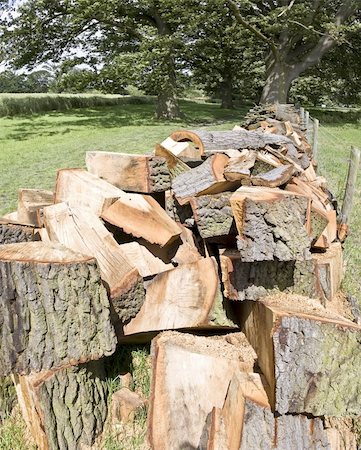 sawmill wood industry - Background of stacked logs Photographie de stock - Aubaine LD & Abonnement, Code: 400-04954651