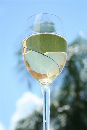 Close up tasty wineglass and palm at the background Stock Photo - Budget Royalty-Free & Subscription, Code: 400-04955243