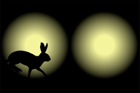 rabbit run - Vector illustration of a rabbit caught in car headlights at night Stock Photo - Budget Royalty-Free & Subscription, Code: 400-04955546