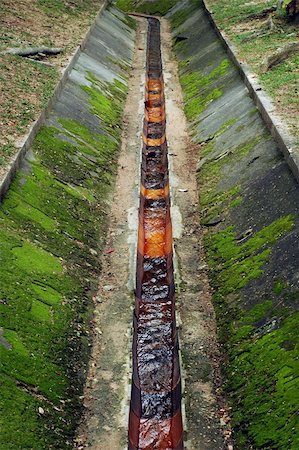 A small drain at park with lots of algae Stock Photo - Budget Royalty-Free & Subscription, Code: 400-04955542