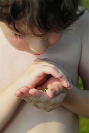 Young boy holding a tiny frog in his hands Stock Photo - Budget Royalty-Free & Subscription, Code: 400-04957147