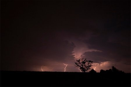 Storm with a tree Photographie de stock - Aubaine LD & Abonnement, Code: 400-04959773