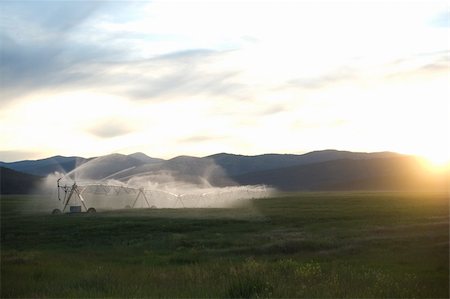 spartika (artist) - A pivot sprinkler waters a straw field on a ranch outside Potomac, Montana. Stock Photo - Budget Royalty-Free & Subscription, Code: 400-04950365