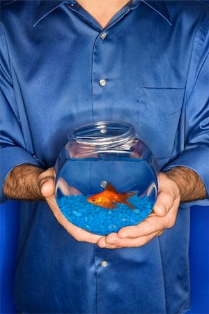 Male Caucasian young adult male holding goldfish in bowl. Stock Photo - Budget Royalty-Free & Subscription, Code: 400-04951093