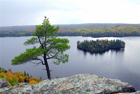 simsearch:400-05150811,k - Scenic view of lake and island in Algonquin provincial park Ontario Canada from hill top Stock Photo - Budget Royalty-Free & Subscription, Code: 400-04951738
