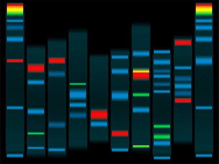 draw biology - Illustration of a human dna in black with highlighted dna strands ideal for schools info Stock Photo - Budget Royalty-Free & Subscription, Code: 400-04953129