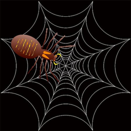 simsearch:400-08200203,k - illustration of a spooky spider for halloween or as a background Foto de stock - Royalty-Free Super Valor e Assinatura, Número: 400-04964242