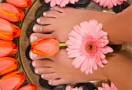 foot daisy - Spa treatment with beautiful elegant tulips and gerberas Stock Photo - Budget Royalty-Free & Subscription, Code: 400-04964299