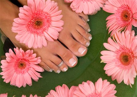 foot daisy - Spa treatment with elegant pink gerberas Stock Photo - Budget Royalty-Free & Subscription, Code: 400-04964300