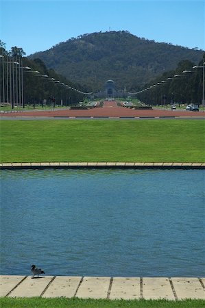 simsearch:400-04502321,k - australian war memorial in Canberra, anzac parade, duck in foreground Foto de stock - Super Valor sin royalties y Suscripción, Código: 400-04964884