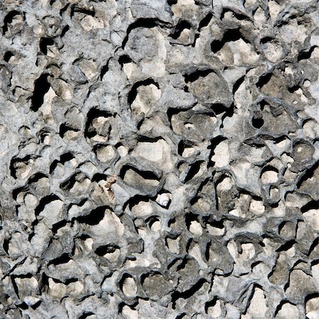 Close up of textured rock with seashell. Stock Photo - Budget Royalty-Free & Subscription, Code: 400-04965961