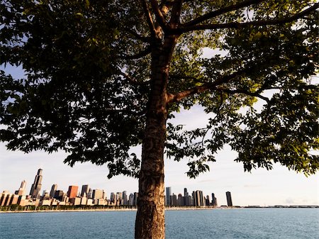 Tree with Lake Michigan and Chicago skyline in background. Stock Photo - Budget Royalty-Free & Subscription, Code: 400-04965973