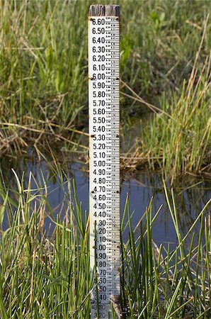 Water level measurement gauge at royal palm, everglades state national park, florida, united, states, usa, used to monitor the water levels which are critical for the existence of alligators and wading birds as well as the habitat, taken in march 2006 Stock Photo - Budget Royalty-Free & Subscription, Code: 400-04966778