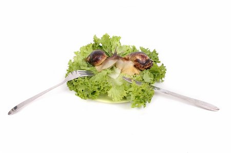 big brown snails on the plate on the white background Stock Photo - Budget Royalty-Free & Subscription, Code: 400-04967811