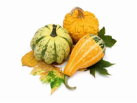 dried leaf ornaments - Top view of of decorative pumpkins and leaves Stock Photo - Budget Royalty-Free & Subscription, Code: 400-04960072