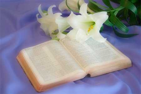 Easter Lily and Bible Stockbilder - Microstock & Abonnement, Bildnummer: 400-04960393