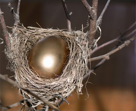 financial highlights - Branch with small nest, containing a bright golden egg. Taken with a Panasonic FZ30. Stock Photo - Budget Royalty-Free & Subscription, Code: 400-04960801