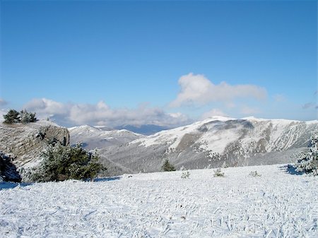 Downhill skiing tracks among fir trees in winter mountains Stock Photo - Budget Royalty-Free & Subscription, Code: 400-04961395