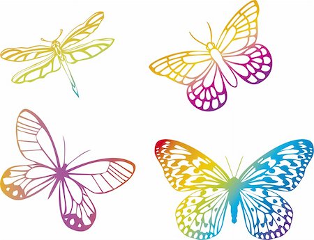 simsearch:400-05913273,k - colorful butterflies on white background Fotografie stock - Microstock e Abbonamento, Codice: 400-04962633