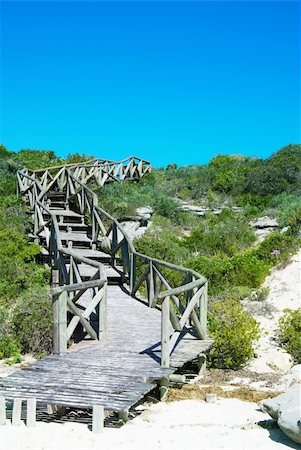 simsearch:400-08223992,k - Wooden path leading down to the beach. Clear blue sky in the backgroud Stock Photo - Budget Royalty-Free & Subscription, Code: 400-04962891