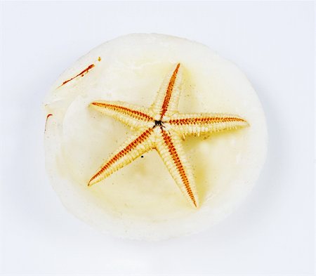 simsearch:400-07553606,k - Starfish in a shell. Stock Photo - Budget Royalty-Free & Subscription, Code: 400-04963540