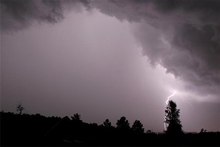 Lightning bolt behind tree from an Ominous storm Stock Photo - Budget Royalty-Free & Subscription, Code: 400-04974600