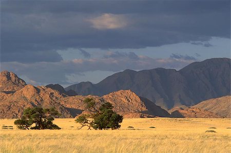 sunset namibia - Desert landscape near Sossusvlei, Namibia Stock Photo - Budget Royalty-Free & Subscription, Code: 400-04975016