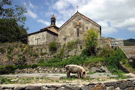 simsearch:879-09034433,k - Ancient Haghbat church (Armenia) with a pig in the foreground. Foto de stock - Super Valor sin royalties y Suscripción, Código: 400-04975952
