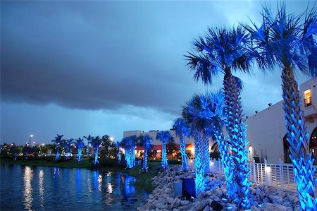 palms overlooking lake under blue light Stock Photo - Budget Royalty-Free & Subscription, Code: 400-04976771