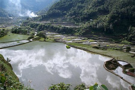 simsearch:400-05071386,k - rice terraces in northern luzon the philippines Photographie de stock - Aubaine LD & Abonnement, Code: 400-04977139