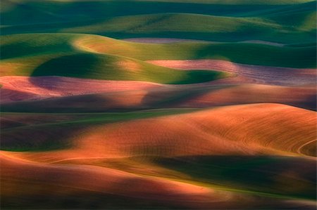 palouse - Wheat fields in Eastern Washington Palouse in morning light Stockbilder - Microstock & Abonnement, Bildnummer: 400-04978167