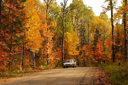 Forest road in the fall Stock Photo - Budget Royalty-Free & Subscription, Code: 400-04978353