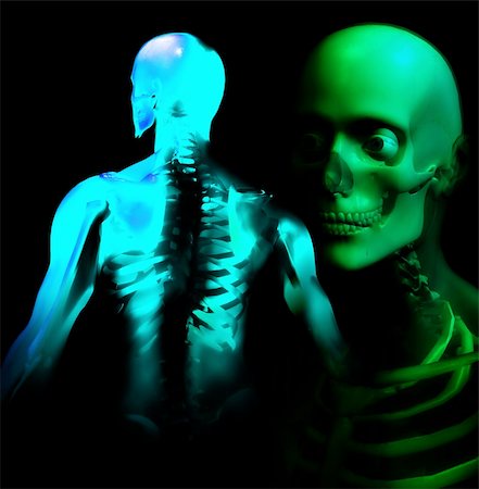 simsearch:400-03933783,k - An x ray image of 2 men in which you can see the Skelton under the skin's. Stock Photo - Budget Royalty-Free & Subscription, Code: 400-04978849