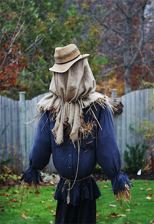 espantalho - Scarecrow in a garden Foto de stock - Royalty-Free Super Valor e Assinatura, Número: 400-04979295