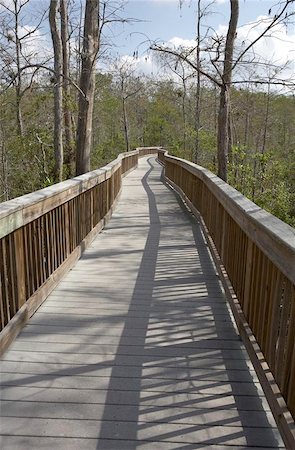 Raised wooden boardwalk leading into the distance at kirby storter roadside park, these allow visitors to walk above the swamp to enjoy the natural surroundings, florida united states usa taken in march 2006 Photographie de stock - Aubaine LD & Abonnement, Code: 400-04971808