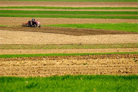 rural landscape Stock Photo - Budget Royalty-Free & Subscription, Code: 400-04971840