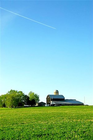 Farmhouse and barn among green fields, vertical Stock Photo - Budget Royalty-Free & Subscription, Code: 400-04972135