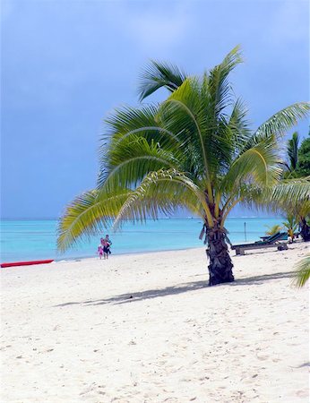 simsearch:400-04472273,k - Palm Tree on Beach in Aitutaki Photographie de stock - Aubaine LD & Abonnement, Code: 400-04972233