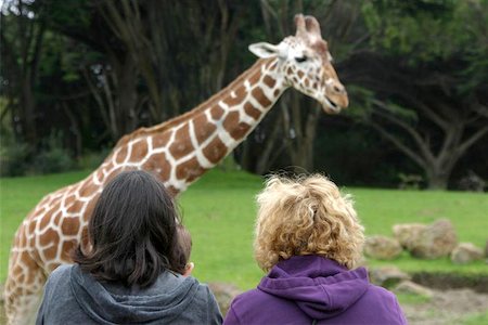 sparky2000 (artist) - Two women watch a giraffe at the San Francisco zoo. Photographie de stock - Aubaine LD & Abonnement, Code: 400-04972488