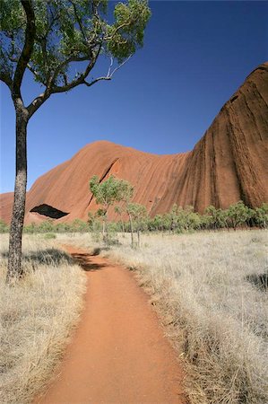 simsearch:400-04975317,k - A walking path that leads around Uluru (Ayers Rock) in Australia. Fotografie stock - Microstock e Abbonamento, Codice: 400-04973593