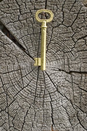 Old key of gold colour on a background of an old tree. Stockbilder - Microstock & Abonnement, Bildnummer: 400-04984389