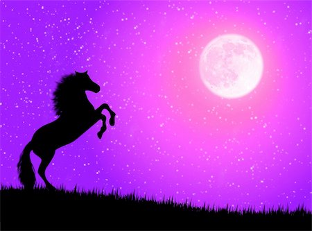 simsearch:400-04001237,k - Black wild horse against a moonlight night Stock Photo - Budget Royalty-Free & Subscription, Code: 400-04984782