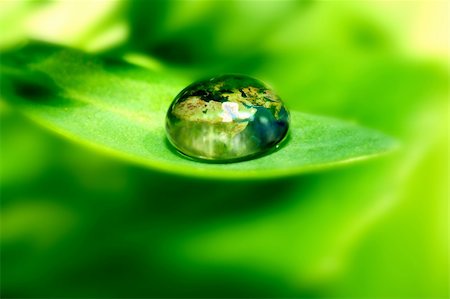 simsearch:400-04403996,k - earth map in waterdrop reflection on green leaf Stock Photo - Budget Royalty-Free & Subscription, Code: 400-04985333