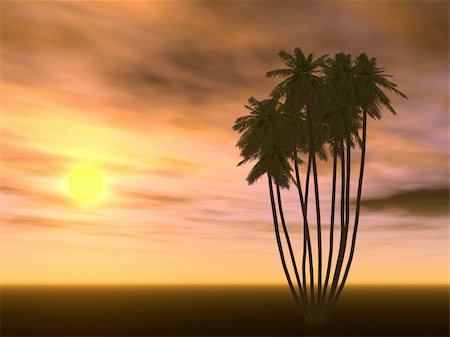simsearch:400-03942821,k - Scarlet decline and palm trees (a monophonic bottom part of a photo) Photographie de stock - Aubaine LD & Abonnement, Code: 400-04985431