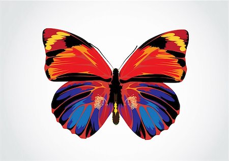 simsearch:400-06107863,k - Vector illustration - Beautiful Brightly multicolored Butterfly Fotografie stock - Microstock e Abbonamento, Codice: 400-04986200