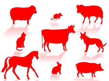 simsearch:400-06102921,k - Farm animals silhouettes with shadows on a white background Stock Photo - Budget Royalty-Free & Subscription, Code: 400-04986727