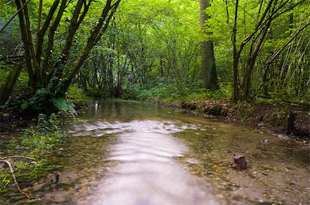 simsearch:400-04407783,k - running creek in the middle of an bright green forest Stock Photo - Budget Royalty-Free & Subscription, Code: 400-04986743