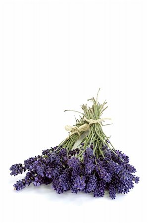 simsearch:400-04847486,k - Bouquet of fresh lavender on bright background Foto de stock - Royalty-Free Super Valor e Assinatura, Número: 400-04986781