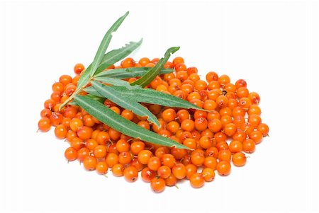Pile of sea buckthorn berries and some leaves isolated on the white background Stock Photo - Budget Royalty-Free & Subscription, Code: 400-04987303